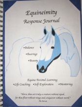 EqJournal2